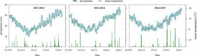 Optimized management strategy increased grain yield, promoted nitrogen balance, and improved water productivity in winter wheat